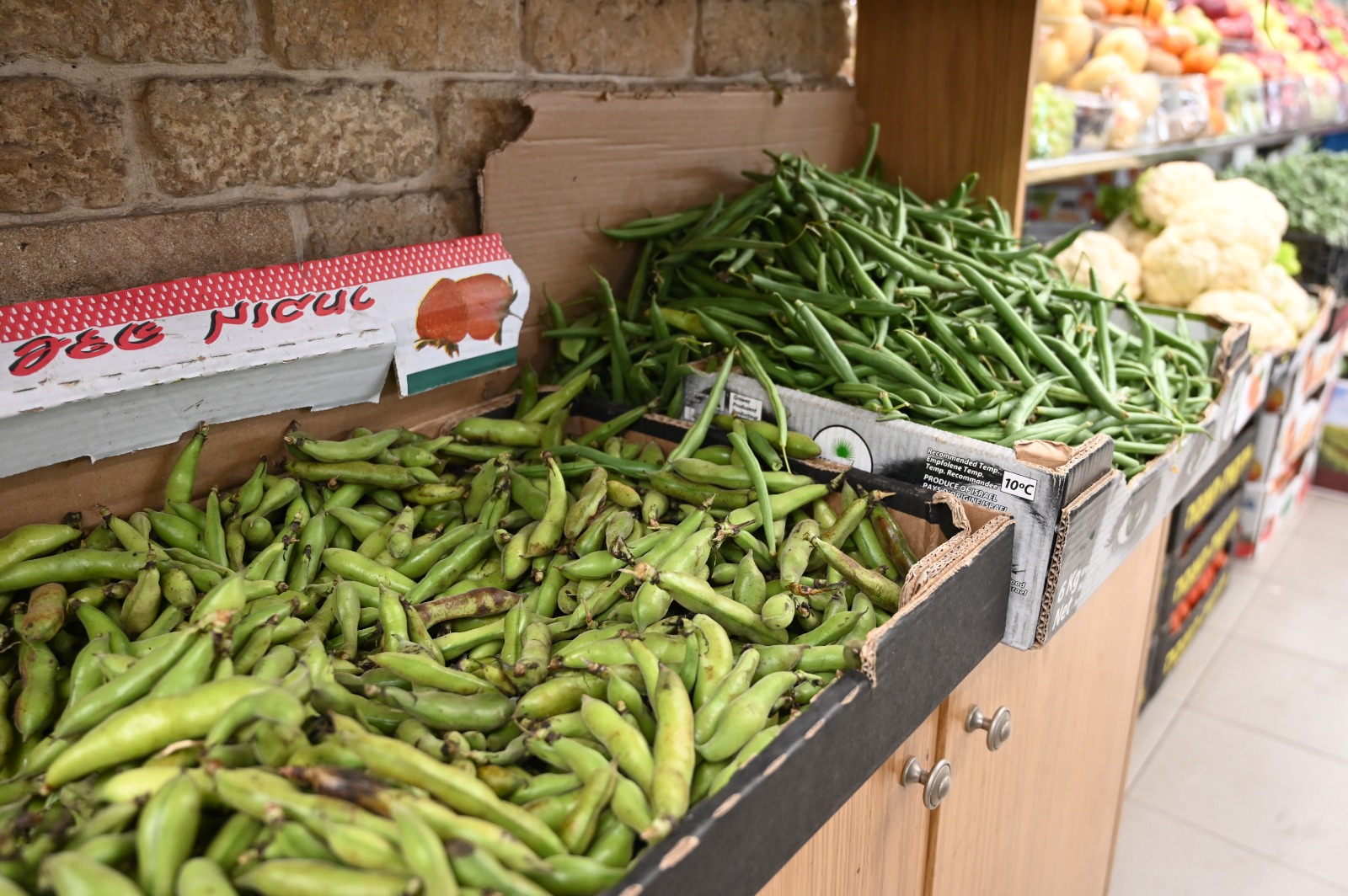 WhatsApp Image 2022-03-29 at 1.25.16 PM.jpg